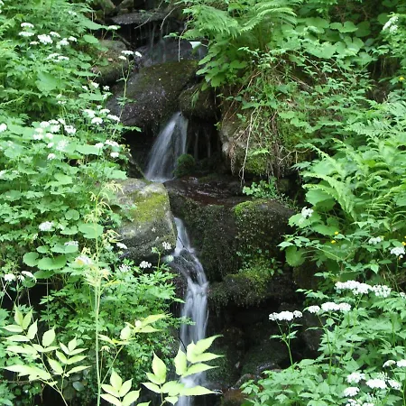Alpehytte Quellenhof